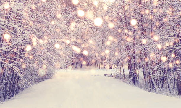 fairylightwinter1